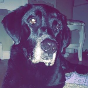 Meet your Posher, Jillian